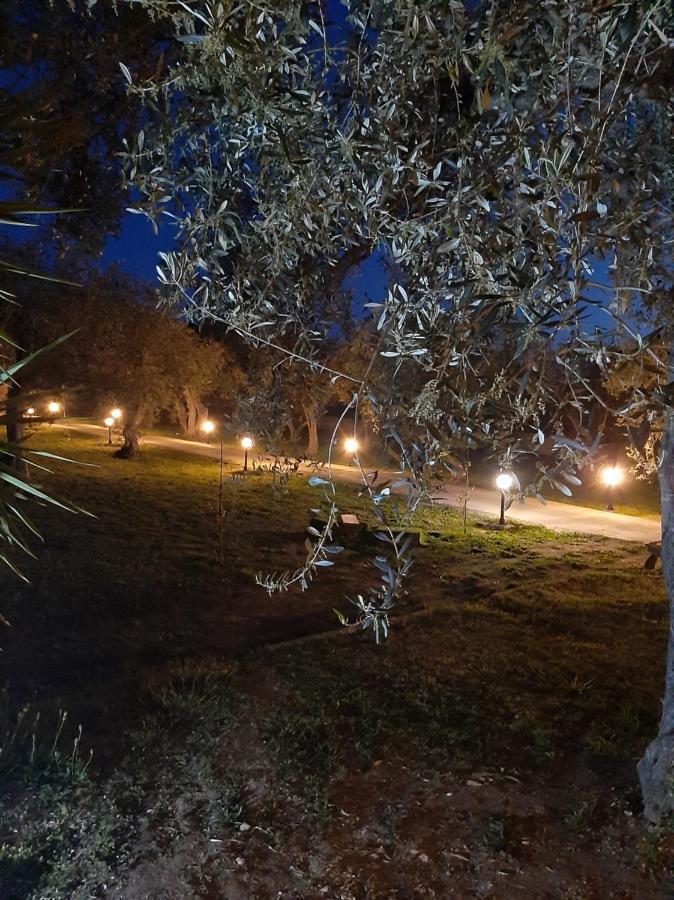 Villa Marianna Alghero Dış mekan fotoğraf