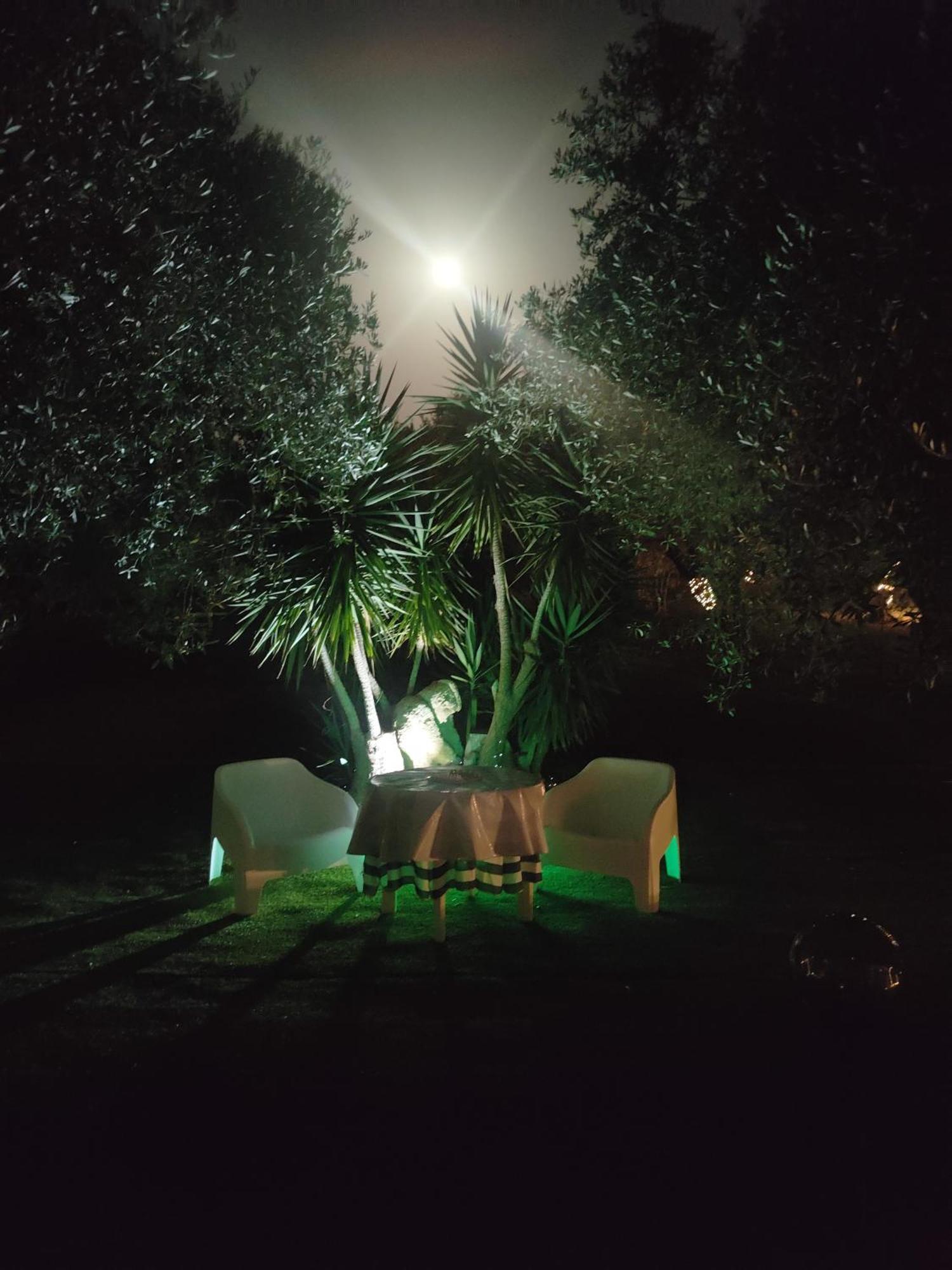 Villa Marianna Alghero Dış mekan fotoğraf